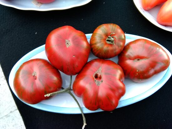 Темные Полосы Сигеля